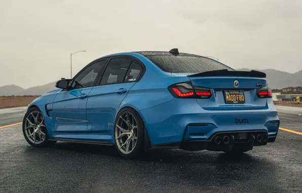 BMW, Blue, Rain, BMW M3, Road, Rear