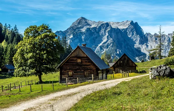 Картинка дорога, зелень, небо, трава, солнце, деревья, горы, скалы