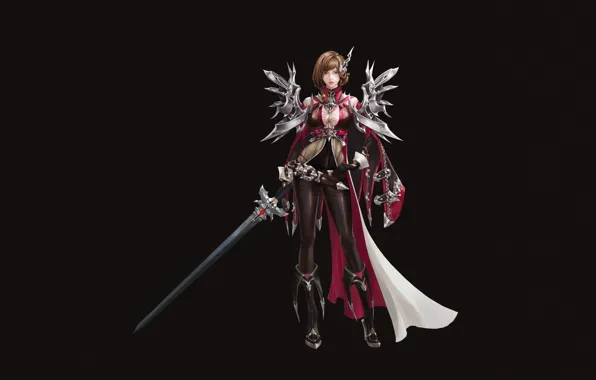 Girl, Fantasy, Art, Style, Illustration, Minimalism, Sword, Armor