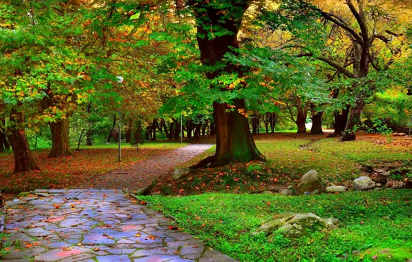 Деревья, парк, Осень, дорожка, аллея, листопад, trees, nature