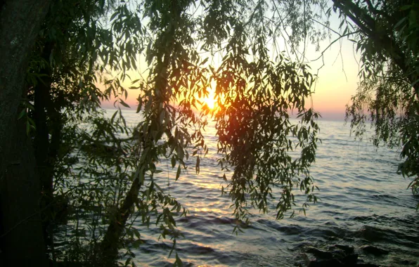 Вода, деревья, закат, отдых