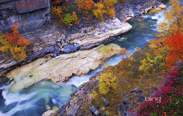 Картинка осень, листья, река, скалы, Швеция, Sweden, деревце, Lapland