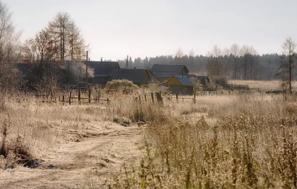 Картинка поле, осень, дома, деревня