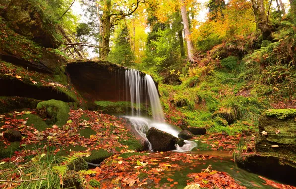 Осень, лес, листья, водопад, Германия, Germany, Баден-Вюртемберг, Baden-Württemberg