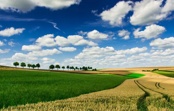 Картинка поле, небо, облака, деревья, горизонт, ферма