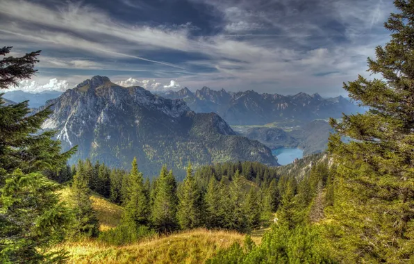 Лес, деревья, горы, озеро, ели, Баварские Альпы