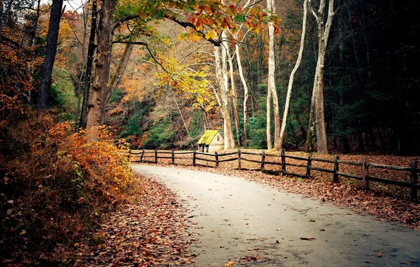 Картинка дорога, осень, лес, листья, деревья, природа, дом, листва