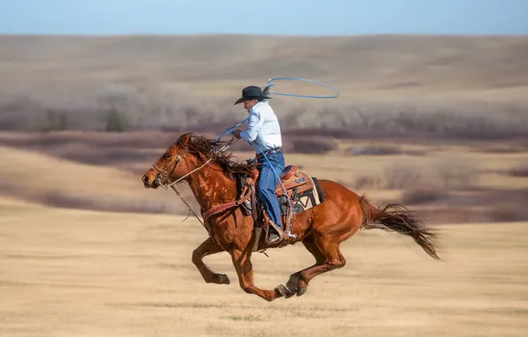 Картинка cowboy, lasso, roping