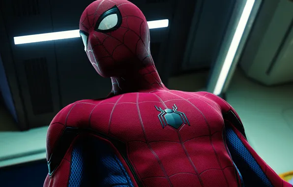 Паук, костюм, Spider Man, Человек паук