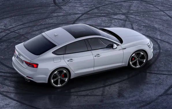 Audi, Audi A5, спортбэк, 2019, S5 Sportback