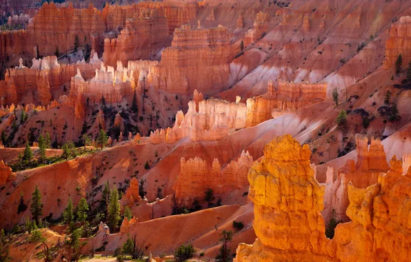 Картинка оранжевый, скалы, пустыня, Брайс-Каньон