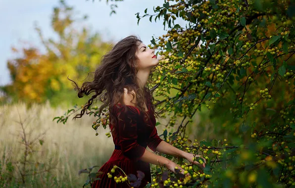 Листья, природа, волосы, платье, плоды, girl