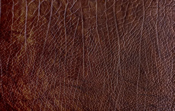 Фон, текстура, кожа, texture, коричневая, brown, background, leather