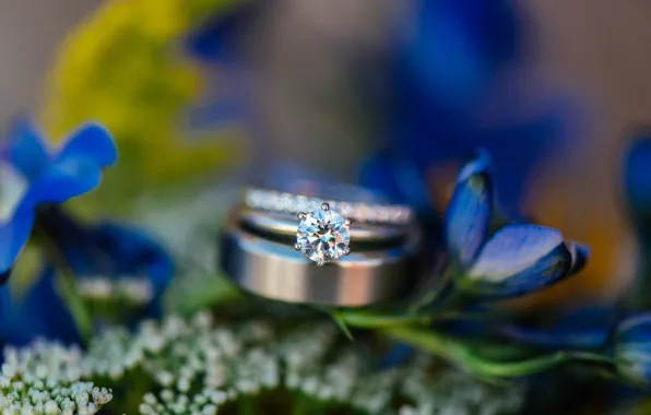 Цветы, камень, кольцо, обручальное, синие лепестки