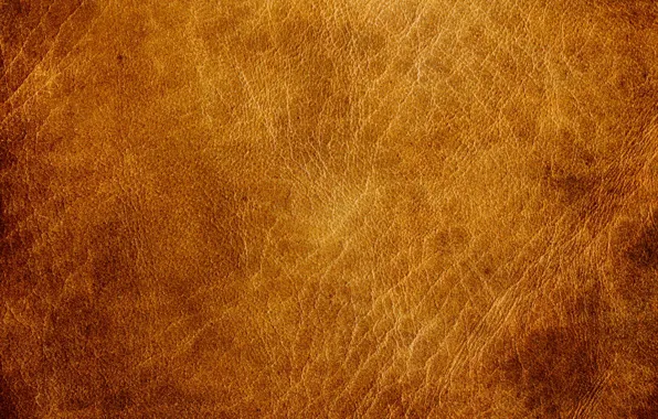 Кожа, texture, leather, skin