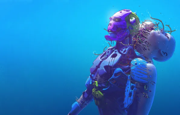 Fantasy, Skull, Illustration, Skin, Cyborg, Cyberpunk, Mecha, Nick Sullo