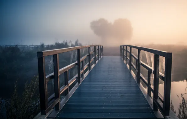 Картинка мост, туман, река, утро