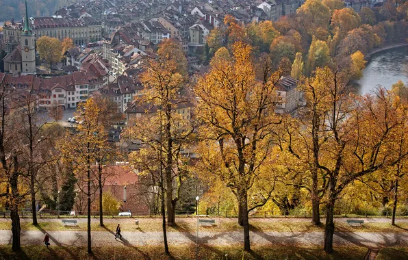 Осень, деревья, вид, красота, аллея, Switzerland, Bern