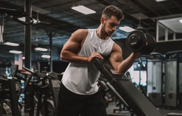 Поза, muscle, мышцы, pose, тренировка, тренажеры, гантели, бицепс