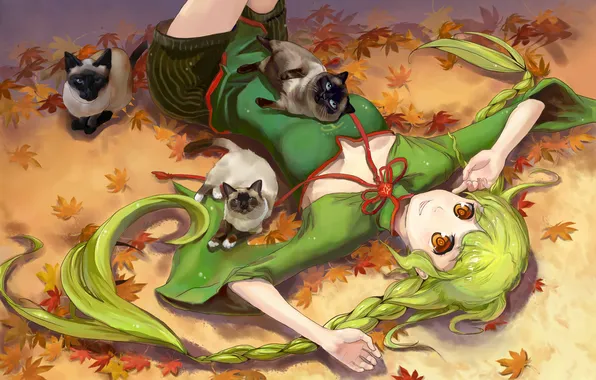 Кот, девушка, аниме, арт