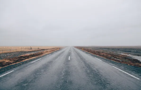 Дорога, поле, туман
