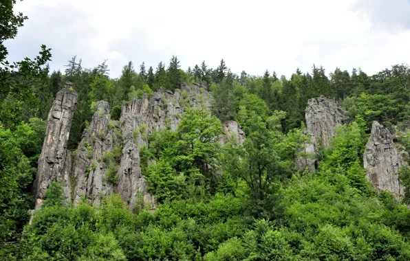 Картинка зелень, лес, деревья, природа, камни, скалы
