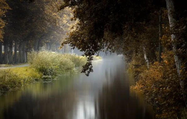 Осень, природа, парк