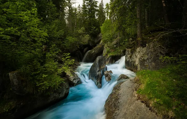 Картинка лес, природа, река, водопад