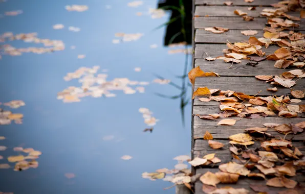 Картинка осень, листья, вода, мост