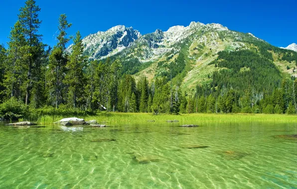 Картинка вода, пейзаж, горы, природа, парк, фото, США, Grand Teton