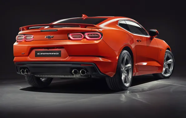 Chevrolet, Camaro, вид сзади, 2SS, 2019