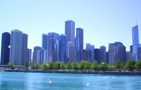 Chicago, Illinois, buildings