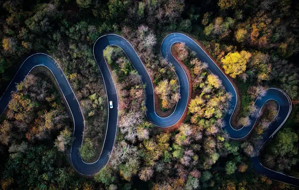 Картинка дорога, осень, лес