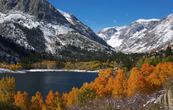 Картинка осень, снег, деревья, горы, озеро, листва