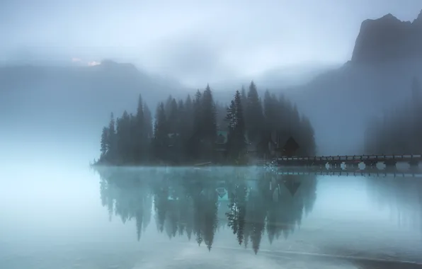 Forest, lake, island, fog
