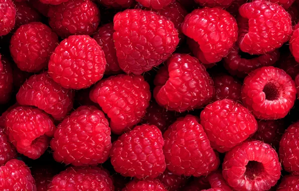 Картинка ягоды, малина, фон, background, Raspberry