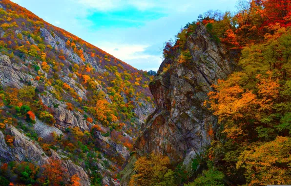 Осень, деревья, горы, природа, скалы, colors, Nature, trees