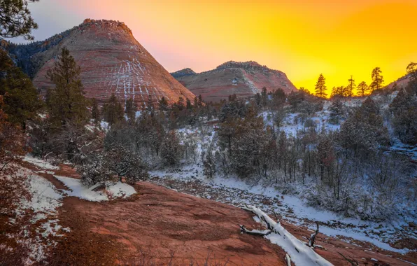Zion National Park, Autumn, Colors