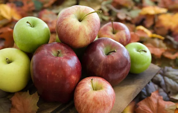 Картинка осень, яблоки, сад, урожай