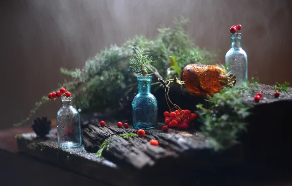 Стекло, капли, ягоды, дождь, доски, натюрморт, хвоя, рябина