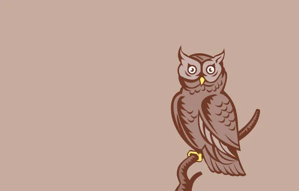 Сова, птица, минимализм, ветка, светлый фон, owl