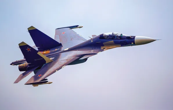 Картинка 2013, МАКС, Су-30 СМ