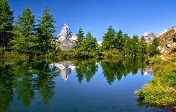 Деревья, горы, озеро, отражение, Швейцария, Альпы, Switzerland, Alps