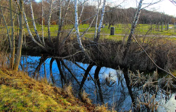 River, trees, water, park