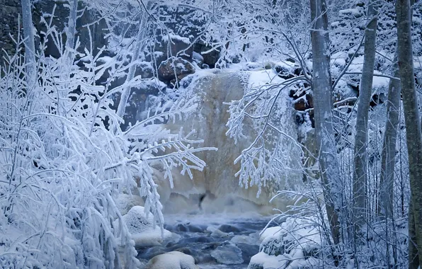 Картинка зима, иней, лес, снег, деревья, ручей, речка, Швеция