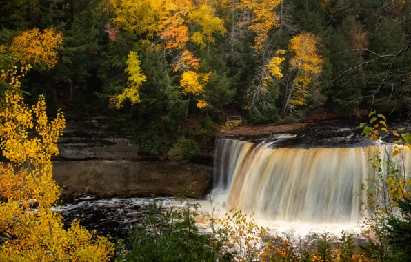 Осень, лес, деревья, река, водопад, Мичиган, Michigan, Tahquamenon Falls State Park