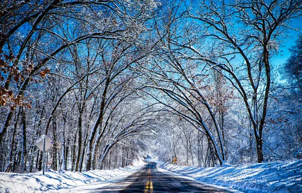 Зима, дорога, небо, снег, деревья, тунель
