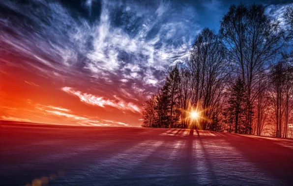 Картинка солнце, снег, деревья, закат, Норвегия, Norway