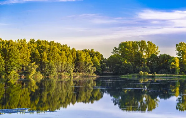 Картинка небо, облака, деревья, озеро, отражение, зеркало, мужчина, мол