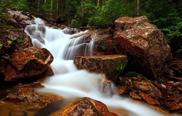 Картинка лес, ветки, природа, река, ручей, камни, поток